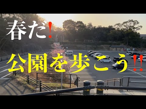 春だ❗️公園を歩こう‼️