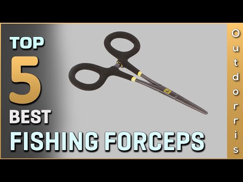 Top 5 Best Fishing Forceps Review [2023]