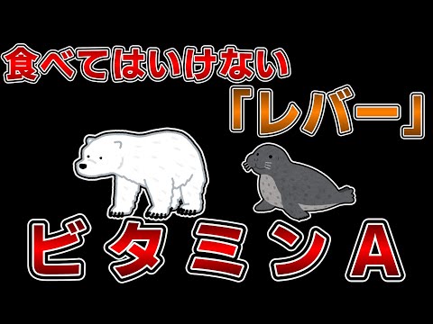 足りないと失明、多いと死亡する栄養素ビタミンA【ゆっくり解説】