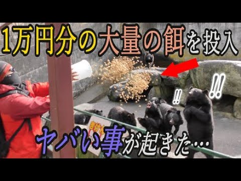 奥飛騨クマ牧場で大量のエサ投入したらヤバい事が起きて出禁になった