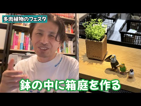 【前代未聞】多肉植物のフェスタをレポートします（購入品を開封・紹介） - 外資系企業で働くVlog