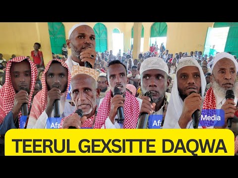 Teerul tekke daqwa qunxa garabluk 13/2017