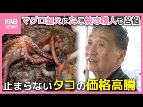 タコの高騰が止まらない！マグロ超え…たこ焼き職人も頭をかかえる現状を取材