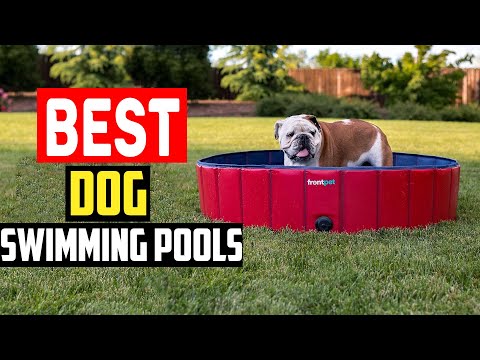 ✅Top 5 Best Dog Swimming Pools in 2024