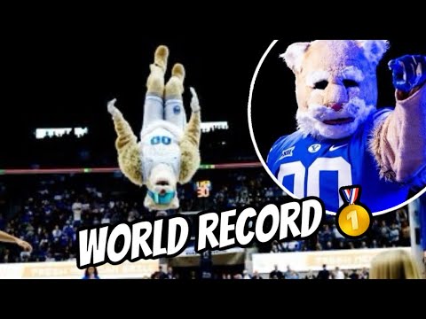 BYU’s mascot Cosmo the Cougar is BACK with a mascot world record BACKFLIP over 6’10” bar