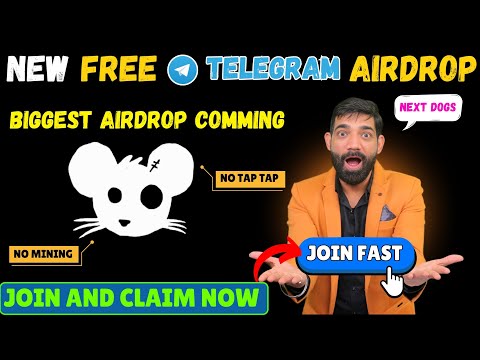 New Viral Mining Bot | Rats Kingdom | Rats Kingdom Mining Bot | Hamster kombat Latest News