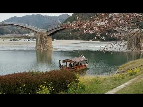 🌸Kintai Bridge 🌸 | The most BEAUTIFUL bridge in JAPAN