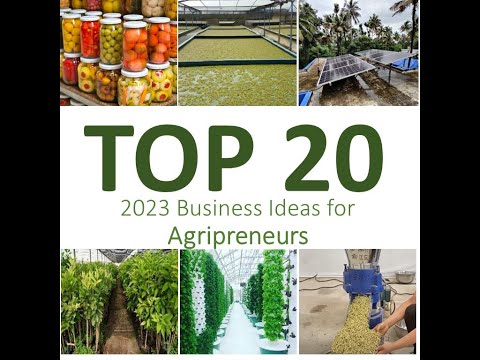 Unveiling the Top 20 Profitable Business Ideas for Start-up Agri-Preneurs in 2023