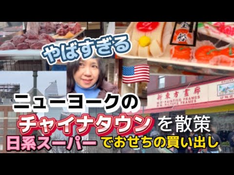 アメリカ🇺🇸 ニューヨーク日帰り旅行　チャイナタウンはこんな所だった　ニュージャージーの日系スーパーミツワでディナーと買い物 Vol.2