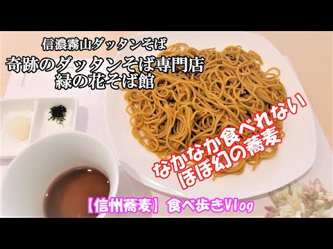 信濃霧山ダッタンそば　奇跡のダッタンそば専門店　緑の花そば館　信州蕎麦食べ歩きvlog