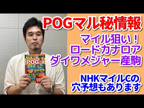 競馬POGマル秘情報＆NHKマイルC予想【セキネ記者の特注秘話】