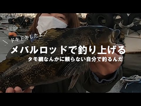 堤防からメバルロッドでアイナメを釣る！タモないけどどうしましょう