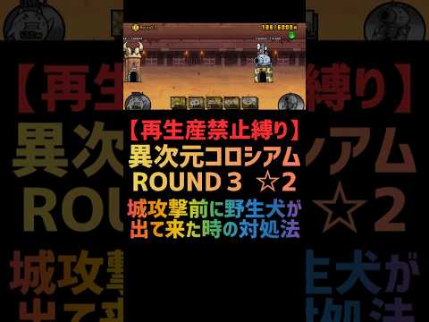 【再生産禁止縛り】イザナギがいれば異次元コロシアム ROUND３☆2を出撃３体のみで速攻攻略出来る説 #にゃんこ大戦争