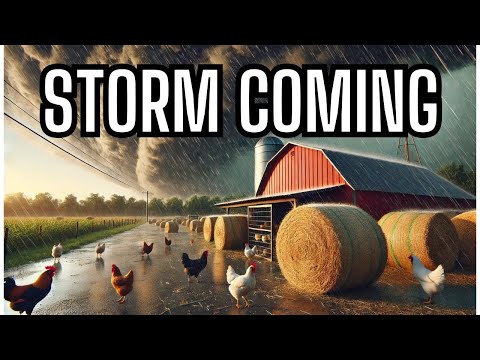 Preparing for Oklahoma’s Severe Tornado Storms! Protecting Our Chickens Against Hail & Wind