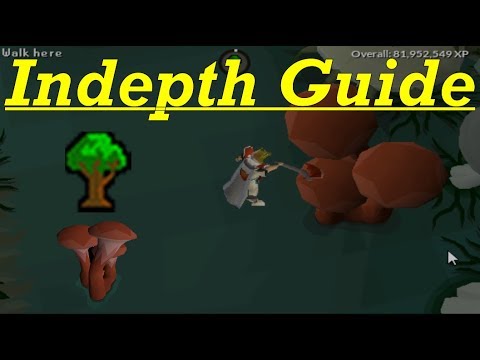 Sulliuscep Mushroom Woodcutting guide 2018 (Fossil Island) - OSRS