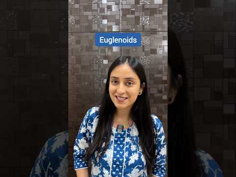 Euglenoids | Kingdom Protista #neet #biology #class11 #study #shorts #ytshorts