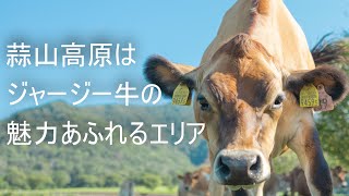 蒜山高原はジャージー牛の魅力あふれるエリア