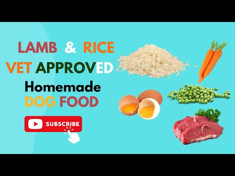 Lamb and Rice Homemade vet approved easy to cook Human grade dog food | blogsbyibrar