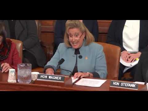 Wagner Testimony on Paid Family Leave