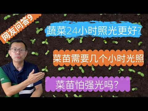 网友问答9：蔬菜是不是24小时光照更好？菜苗怕强光吗？