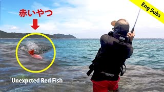 リーフフィッシング！まさかの赤いやつ！Unexpected Red Fish on Reef Fishing