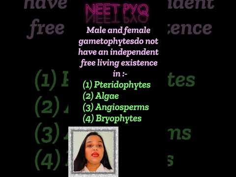 Ans this NEET PYQ 💯| NEET PYQ biology #neet2024 #neetshorts #neetpyqs #neet #pyq #shorts