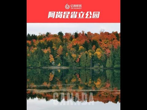 湖光山色, 露營賞楓: 加拿大安大略省阿崗昆省立公園Algonquin Provincial Park