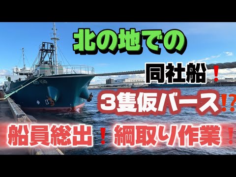 【2024】【船乗り】北の海！ガット船の航海はまだまだ続く‼️時化を耐えた3隻のガット船が函館港に勢揃い！ひと時の仮バース❗️