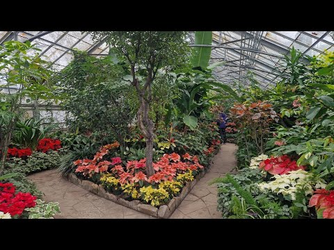 Allan Garden Conservatory Toronto   Part 2   Free Admission 假日好去處