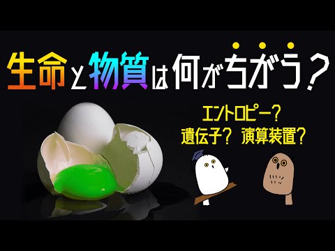 【ゆっくり解説】生物の定義：生物と無生物を分けるものは？【科学 / 生命科学 / 生命の歴史②】