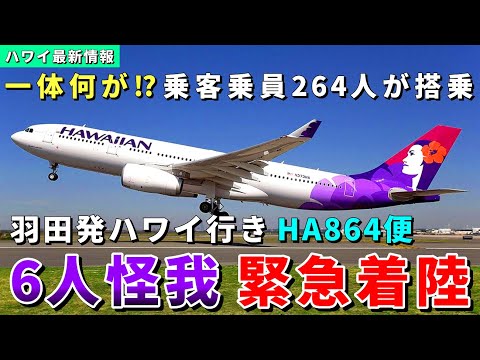 羽田発ハワイ便で緊急事態...羽田空港へ引き返し緊急着陸。JALは成田=コナ線を増便【ハワイ最新情報】【ハワイの今】【ハワイ旅行2023】【HAWAII】