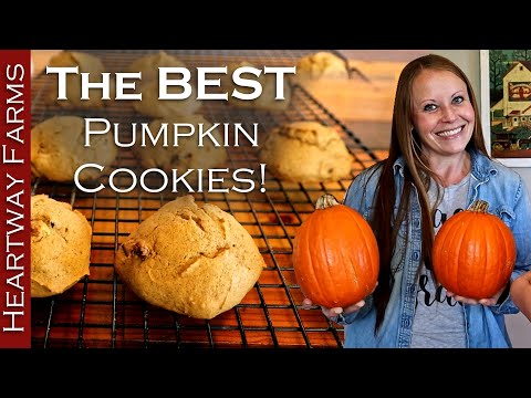 The BEST Pumpkin Cookie Recipe! Must-try Fall Dessert | Heartway Farms