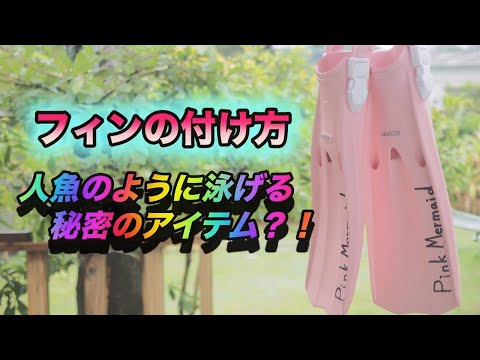 【沖縄ダイビング】ダイビング器材の使い方　”フィン(足ヒレ)のつけ方　ピンクマーメイド