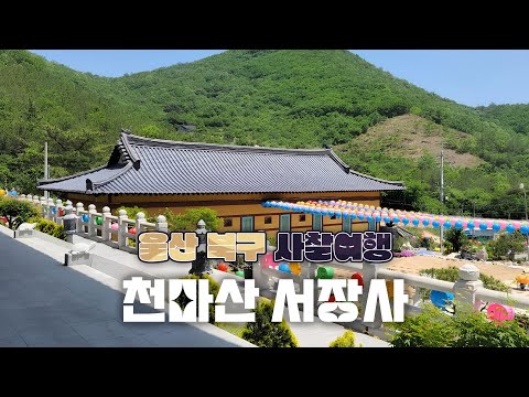 울산 북구 한적한 분위기의 사찰 [천마산 서장사]