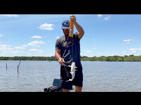 Jug Fishing For Catfish