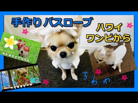 手作り🐶犬のバスローブ🛀ハワイのワンピース🌺を型紙に！DIY 🌟チワワ～DIY 🐶 Dog Bathrobe 🛀 Hawaii One Piece 🌴 Chihuahua