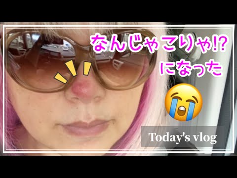 【vlog】まさかの免疫力低下 ／ 豆てまり