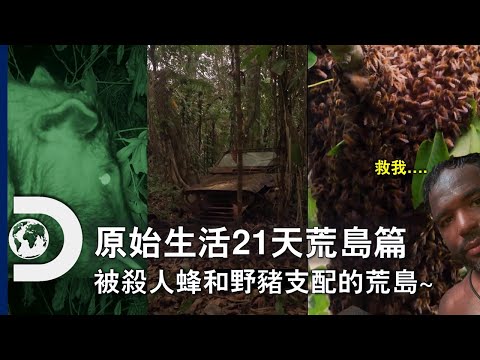 想圍繞著(二戰?)廢棄吉普車打造的營地？你有問過蜂群和野豬嗎？《原始生活21天荒島篇》3月2日起，每週六  晚間11點首播