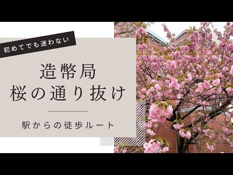 【2024年/桜の通り抜け】造幣局へのアクセス・入口案内