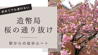 【2024年/桜の通り抜け】造幣局へのアクセス・入口案内