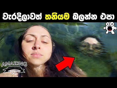 වැරදිලාවත් තනියම බලන්න එපා ! Videos That Will Wake You Up Tonight Abirahas Gaweshanaya