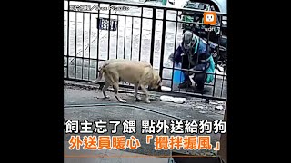 飼主忘了喂...點外送給狗狗 外送員暖心「攪拌搧風」｜泰國｜暖心｜寵物