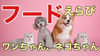 《動物看護師》   ペットフードを選ぶコツ