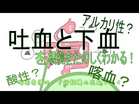 看護学生向け【吐血・下血】とは？わかりやすく解説！