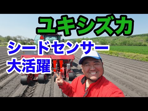 2024年5月19日　ユキシズカ　シードセンサー　大活躍！