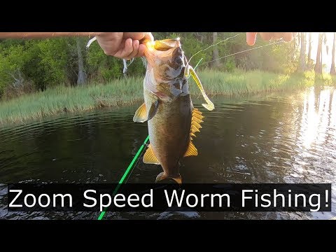 Bass Fishing! Zoom Speed Worm!