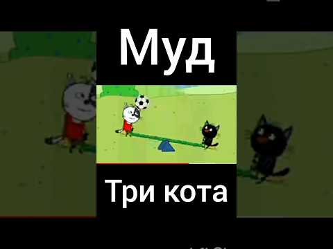 муд три кота "чемпионат"