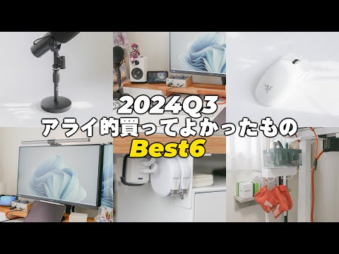 【2024年第3四半期】アライ的買ってよかったもの Best 6 【ベストバイ】