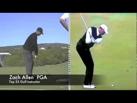 Tiger Woods Picker to Digger