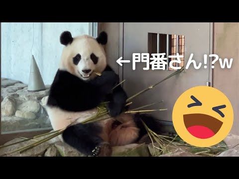 【楓浜】えっ!?まだ帰る時間じゃないでつか？しっかり食べて頑張る子パンダ🐼